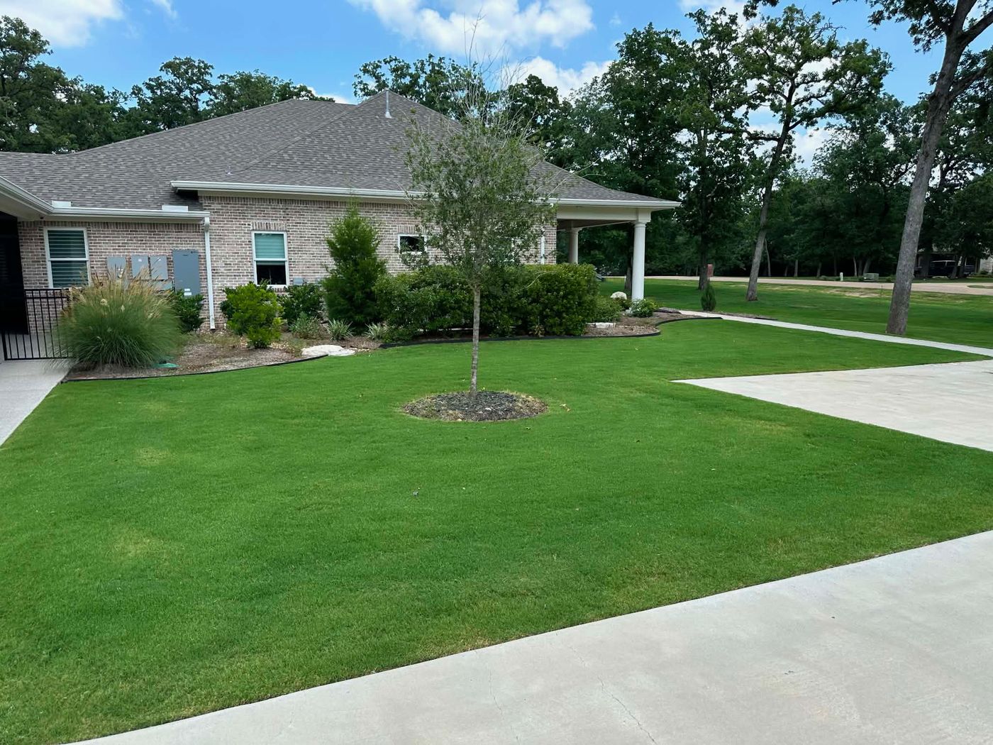 Lawn Maintenance